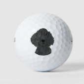 Flachbeschichteter Retriever Golfball (Vorderseite)