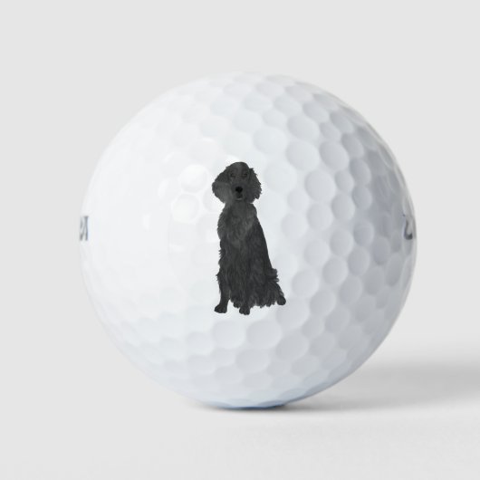 Flachbeschichteter Retriever Golfball (Vorderseite)