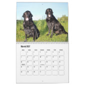 Flachbeschichteter Retriever-Kalender Kalender (Mär 2027)