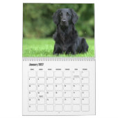 Flachbeschichteter Retriever-Kalender Kalender (Jan 2027)