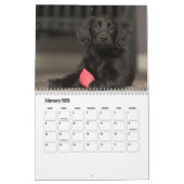 Flachbeschichteter Retriever-Kalender Kalender (Feb 2026)