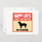 Flachbeschichteter Retriever Postkarte (Vorne/Hinten)