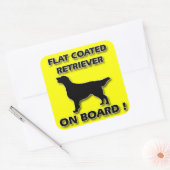 Flachbeschichteter Retriever Quadratischer Aufkleber (Umschlag)