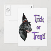 Flachbeschichteter Retriever Trick Postkarte (Vorne/Hinten)