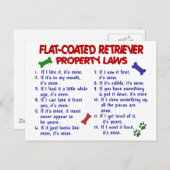 FLACHBESCHICHTETES RETRIEVER-Eigentumsrecht 2 Postkarte (Vorne/Hinten)