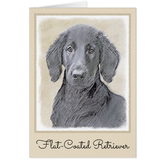 Flachbeschichtetes Retriever-Gemälde - Originale H (Vorne)