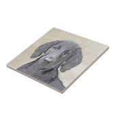 Flachbeschichtetes Retriever-Gemälde - Originale H Fliese (Seite)