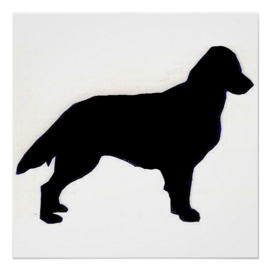 Flachbeschichtetes Retriever-Silo Poster (Vorderseite)