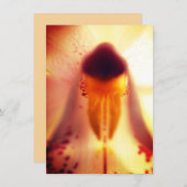 Flachbild-Design-Flachkarte (Vorne/Hinten)