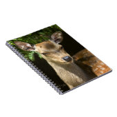 Flachdecker-Notebook Notizblock (Rechte Seite)