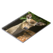 Flachdecker-Notebook Notizblock (Linke Seite)