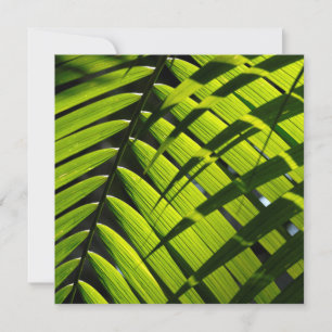 Flache Grußkarte mit grünen Palmwedeln Karte