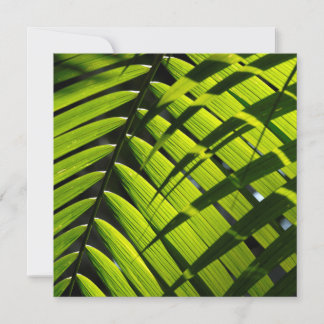 Flache Grußkarte mit grünen Palmwedeln Karte