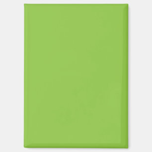 Flache Limettgrün-Hintergrundtextur Magnet