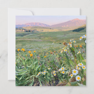 Flache Weihnachtskarte Feiertagskarte