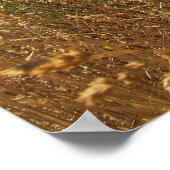 Flacheisen Poster (Ecke)