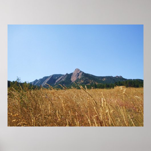 Flacheisen Poster (Vorne)
