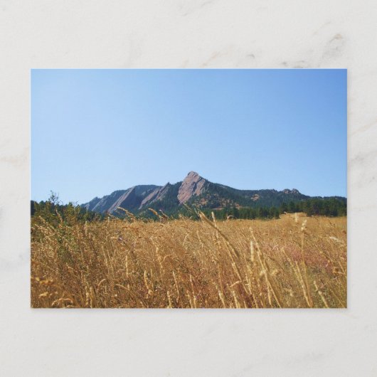 Flacheisen Postkarte (Vorderseite)