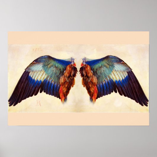 FLÄCHEN EINES EUROPÄISCHEN ROLLER POSTER (Vorne)