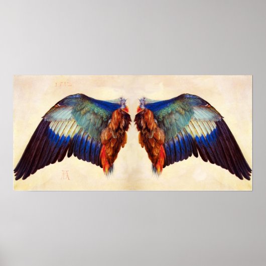 FLÄCHEN EINES EUROPÄISCHEN ROLLER POSTER (Vorne)