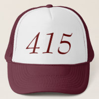 Flächencode 415