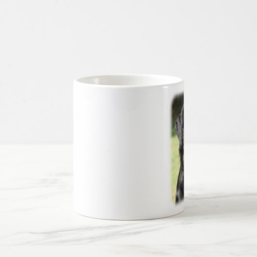 Flacher überzogener Retriever 9Y040D-120 Kaffeetasse (Mittel)