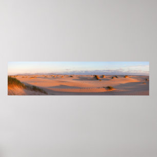 Flaches Einlass-Dünen-Panorama Poster