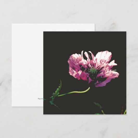 Flachkarte (Vorne/Hinten)