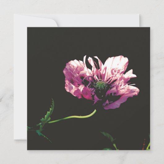 Flachkarte (Vorderseite)