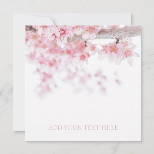 FLACHKARTE : CHERRY BLOSSOM (Vorderseite)