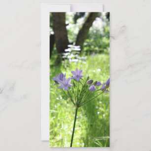 Flachkarte für lila Wildblume