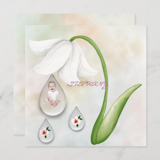 Flachkarte für weiße Failletten (Vorne/Hinten)