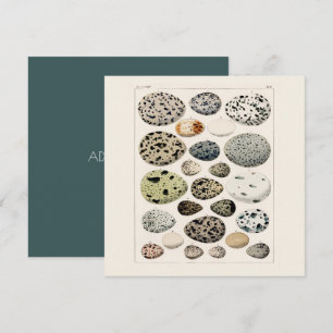 FLACHKARTE : POSTER DER EIER DER VINTAGEN VOD 1843