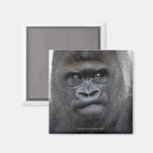 Flachlandgorilla, Gorilla gorilla, Magnet (Vorderseite/Rückseite)