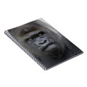 Flachlandgorilla, Gorilla gorilla, Notizblock (Rechte Seite)