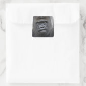 Flachlandgorilla, Gorilla gorilla, Quadratischer Aufkleber (Tasche)