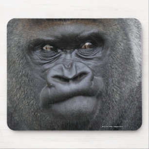 Flachlandgorilla, Gorilla Mousepad