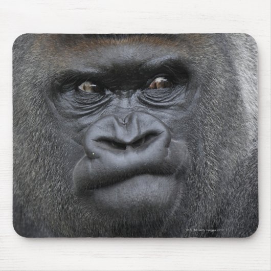 Flachlandgorilla, Gorilla Mousepad (Vorne)