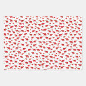 Flachpapier Set 3 Geschenkpapier Set (Vorderseite)