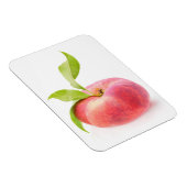 Flachpfirsich Magnet (Rechte Seite)