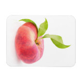 Flachpfirsich Magnet (Horizontal)