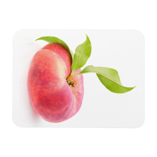 Flachpfirsich Magnet (Horizontal)