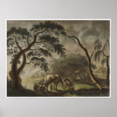 Flachs Poster (Vorne)