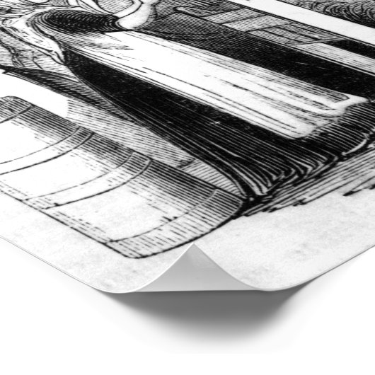 Flachsekklammer Poster (Ecke)