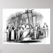 Flachsekklammer Poster (Vorne)