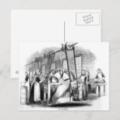 Flachsekklammer Postkarte (Vorne/Hinten)