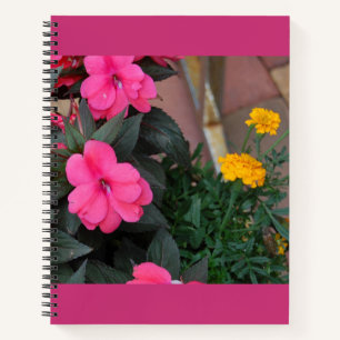 Flachspiralheft Notizbuch
