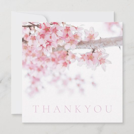 FLACHTHANKYOU KARTE : CHERRY BLOSSOMS (Vorderseite)