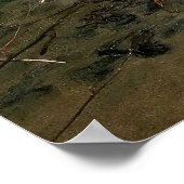 Flachwasser - Narzissmus Poster (Ecke)