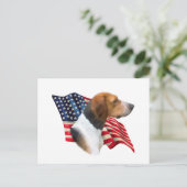 Flag American Foxhound Postkarte (Stehend Vorderseite)